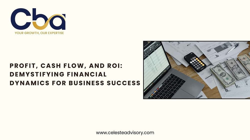Profit, Cash Flow, and ROI: Demystifying Financial Dynamics for Business Success