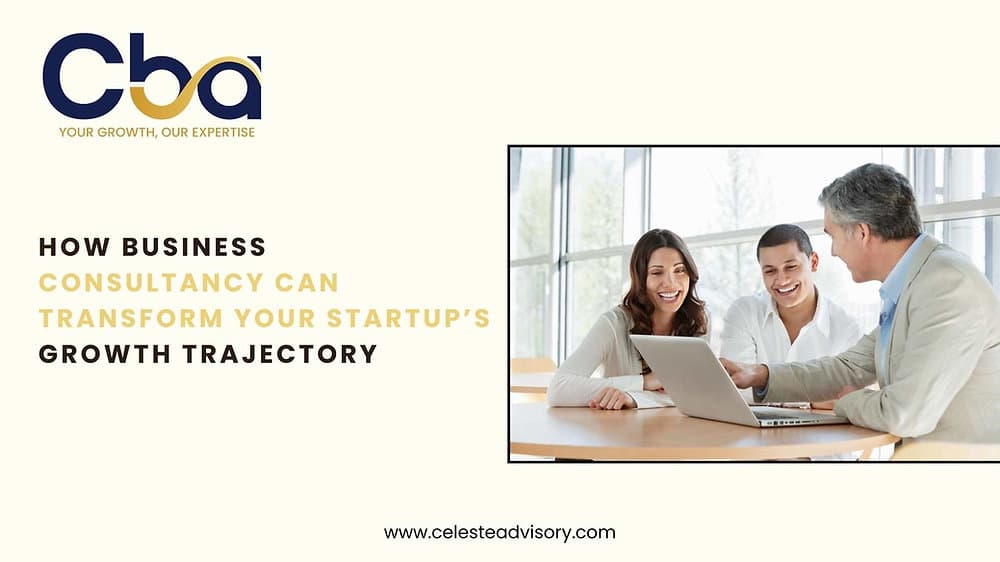 How Business Consultancy Can Transform Your Startup’s Growth Trajectory