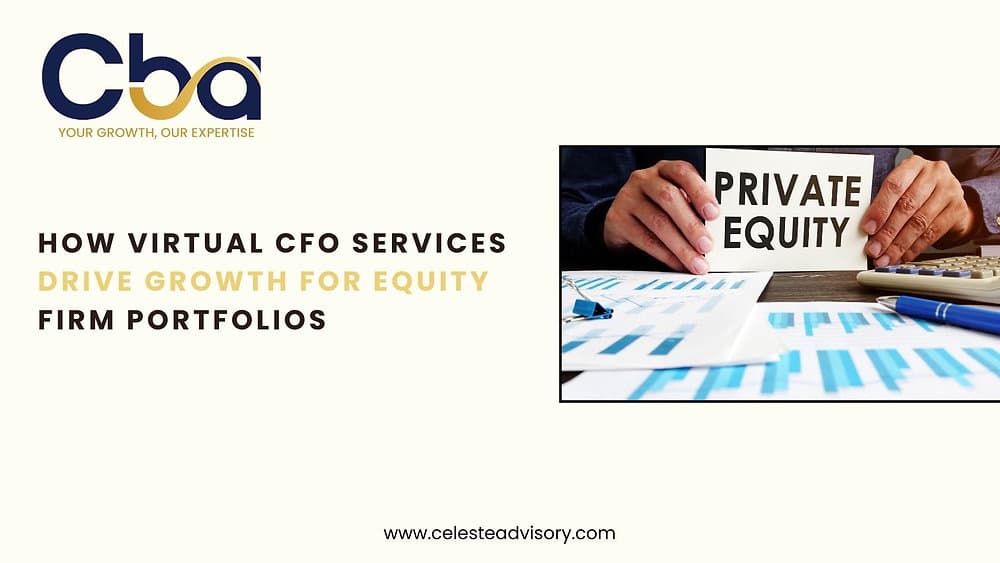How Virtual CFO Services Drive Growth for Equity Firm Portfolios