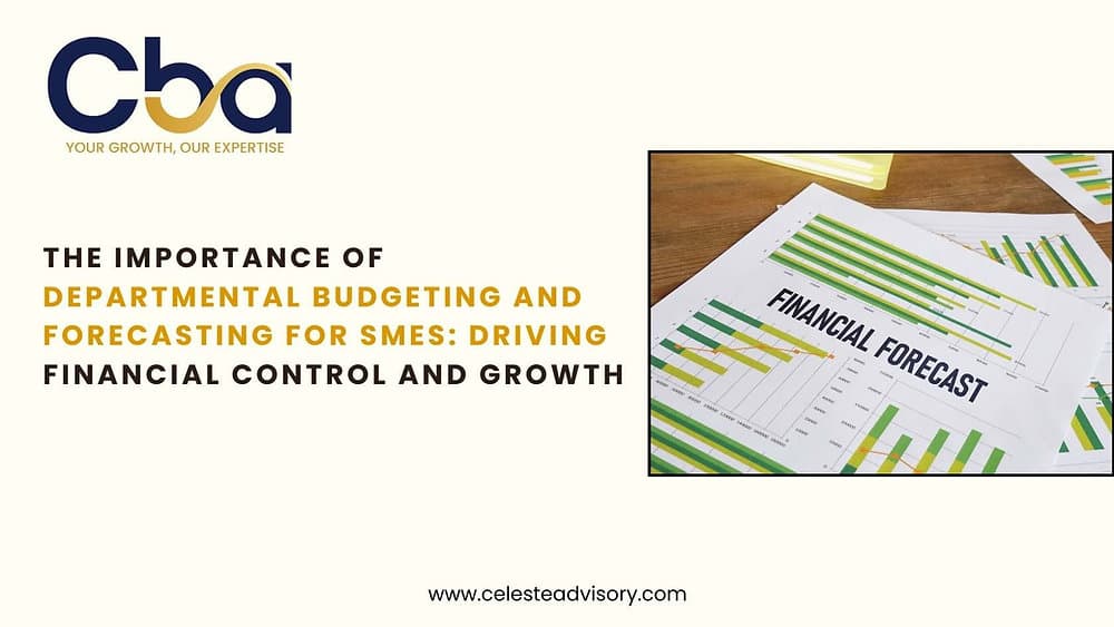 The Importance of Departmental Budgeting and Forecasting for SMEs: Driving Financial Control and Growth