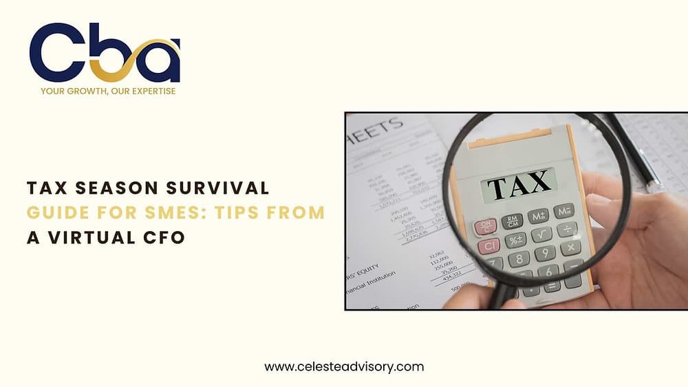 Tax Season Survival Guide for SMEs: Tips from a Virtual CFO