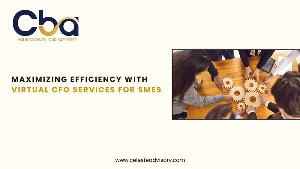 Maximizing Efficiency with Virtual CFO Services for SMEs