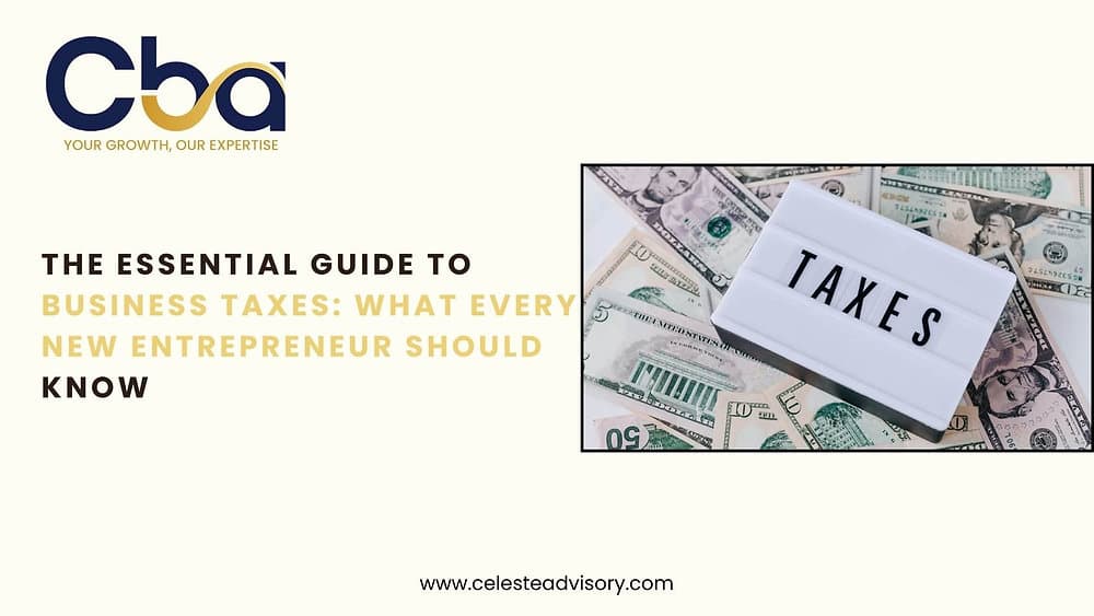 The Essential Guide to Business Taxes: What Every New Entrepreneur Should Know