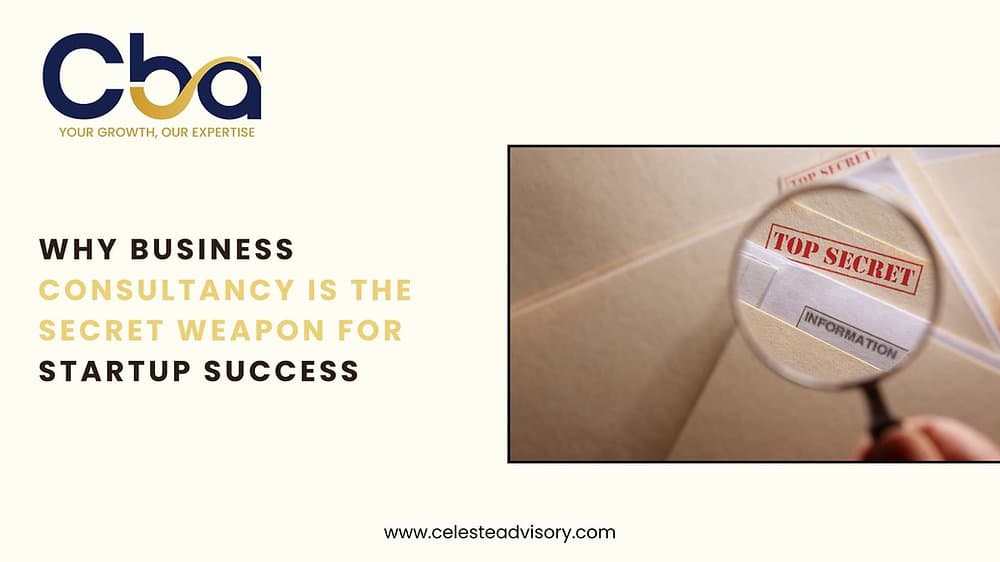 Why Business Consultancy is the Secret Weapon for Startup Success