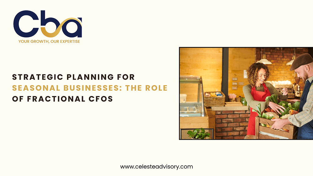 Strategic Planning for Seasonal Businesses: The Role of Fractional CFOs