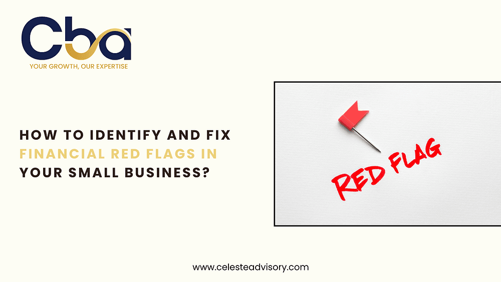 How to Identify and Fix Financial Red Flags in Your Small Business?
