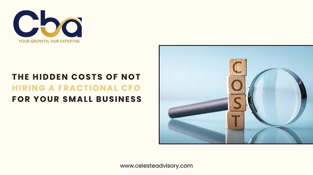The Hidden Costs of Not Hiring a Fractional CFO for Your Small Business