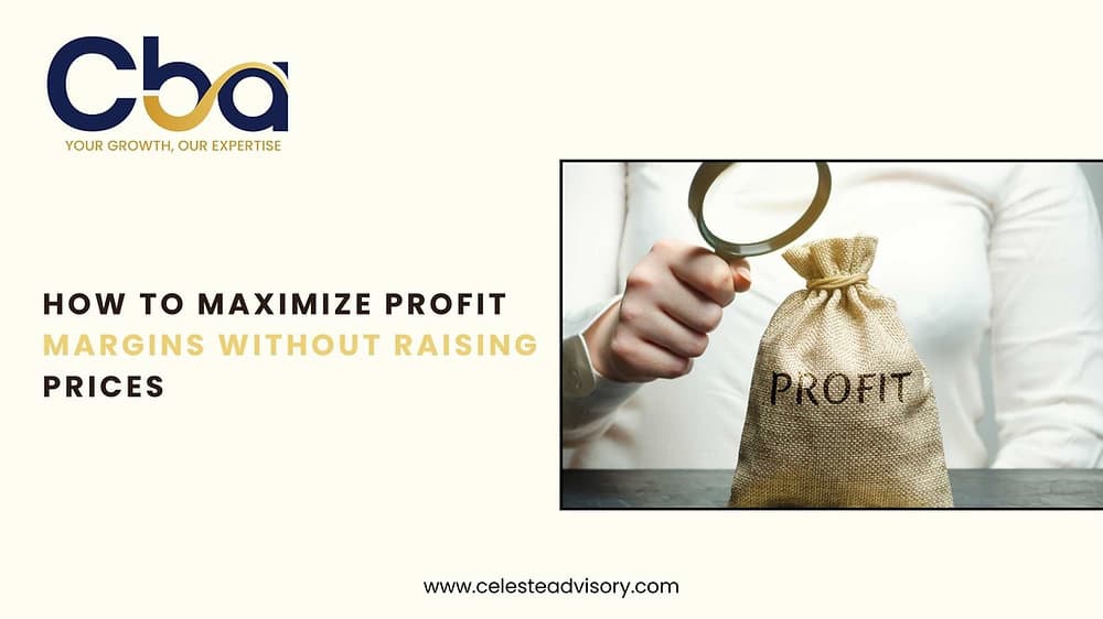 How to Maximize Profit Margins Without Raising Prices